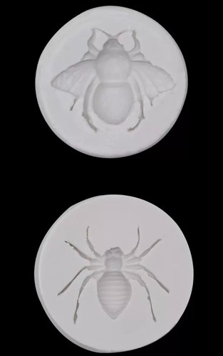 Halloween spider beetle - halloween,