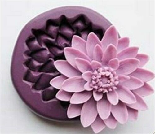 Lily water flower - flower, silicone